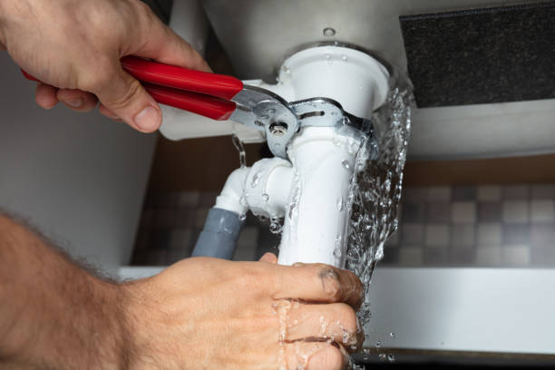 Best Water damage restoration insurance claims  in Marine, IL