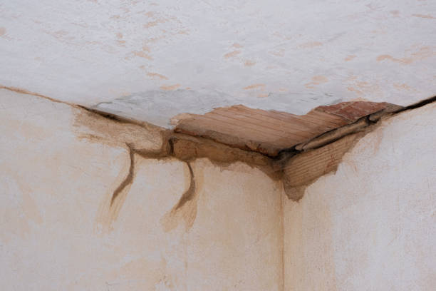 Best Sewage cleanup and water damage restoration  in Marine, IL