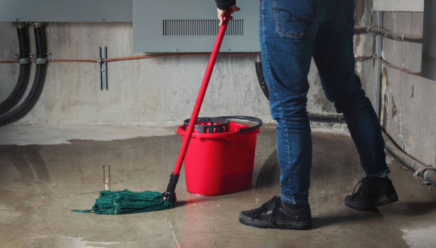 Best Mold removal after water damage  in Marine, IL