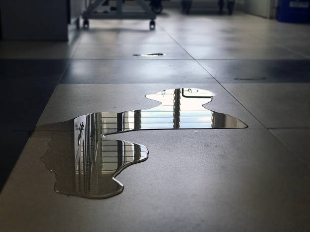 Best Water damage contractors near me  in Marine, IL