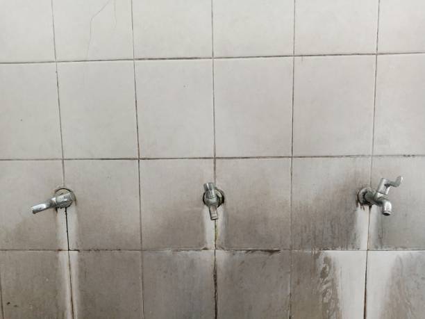 Best Flood restoration services  in Marine, IL