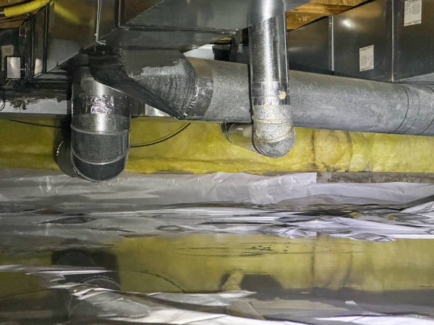 Best 24/7 water damage repair  in Marine, IL