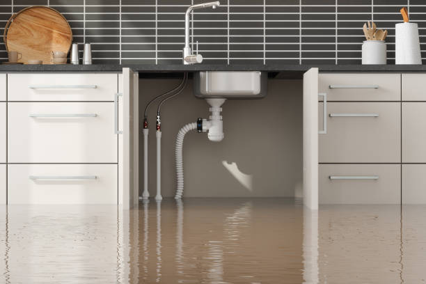 Best Ceiling water damage repair  in Marine, IL