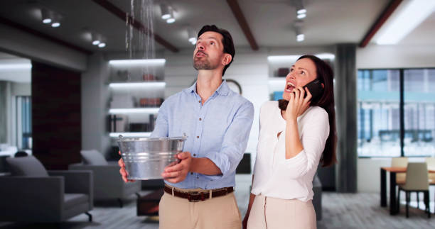 Water damage restoration mold remediation in Marine, IL